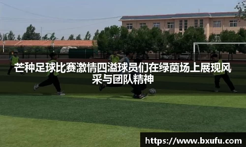 智博19