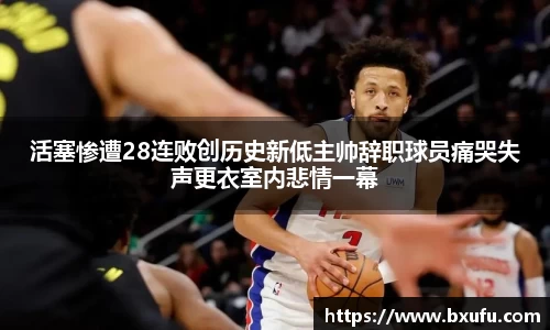智博19有限公司